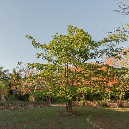 Hacienda Shambalante Bed & Breakfast Izamal Exterior photo